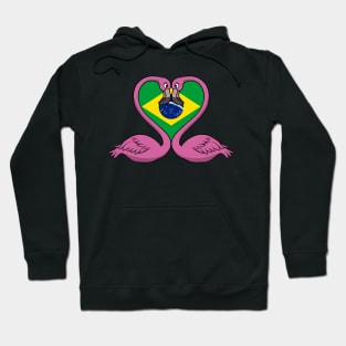 Flamingo Brazil Hoodie